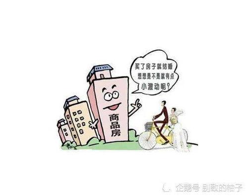 房产过户91新规,全面解读与实操指南