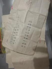 91电报在线,揭秘社交新宠的崛起与影响